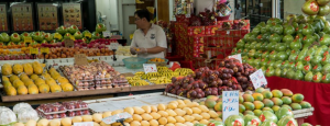 FRUITS SHOP ASSISTANT JOB IN SINGAPORE